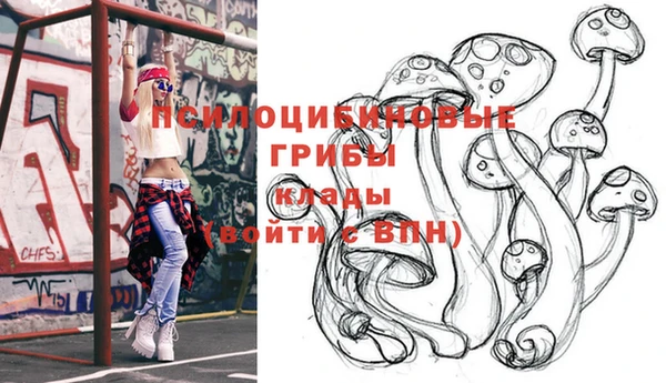 соль ск Белоозёрский