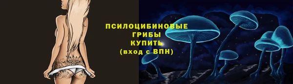 PSILOCYBIN Беломорск